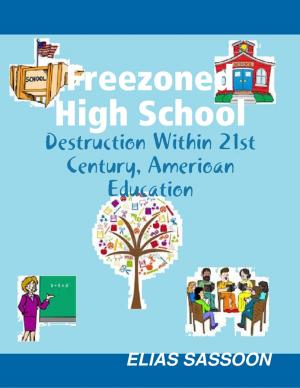 Cover of the book Freezoned High School by J.R. Phillip, MD, PhD