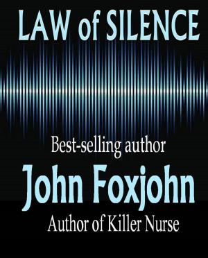 Cover of the book Law of Silence by Holly Newhouse