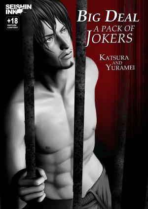 Cover of the book Big Deal Vol.1: A Pack of Jokers by Candi Kay