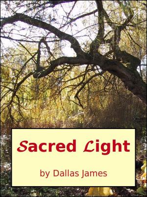 Cover of the book Sacred Light by R Richard Tribble Jr