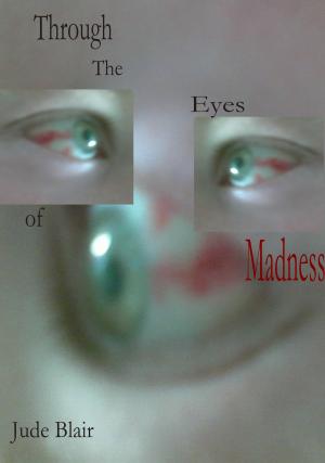 Book cover of Through the Eyes of Madness