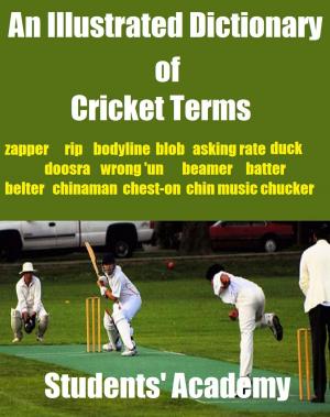 Book cover of An Illustrated Dictionary of Cricket Terms