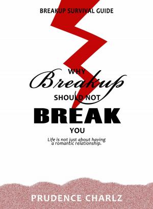 Cover of the book Why Breakup Should not Break You by Catherine Braillard