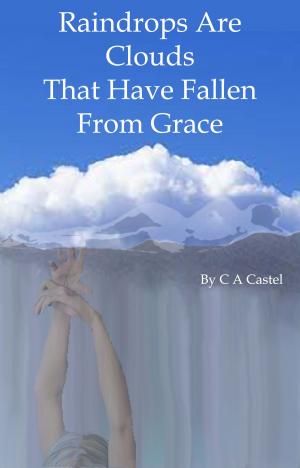 Cover of the book Raindrops Are Clouds That Have Fallen From Grace by C A Castel