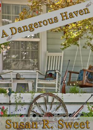 Cover of the book A Dangerous Haven by Ann Merritt