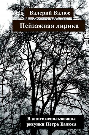 Cover of the book Пейзажная лирика by Studio Pro