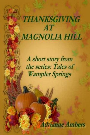 Cover of the book Thanksgiving at Magnolia Hill by Christine M Knight