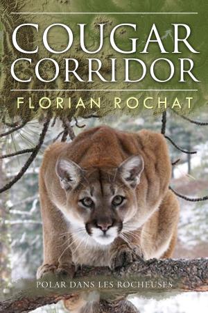Cover of the book Cougar Corridor by LGHS English 9H Class of 2020