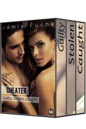 Cover of the book Cheater by Zoe Ashton