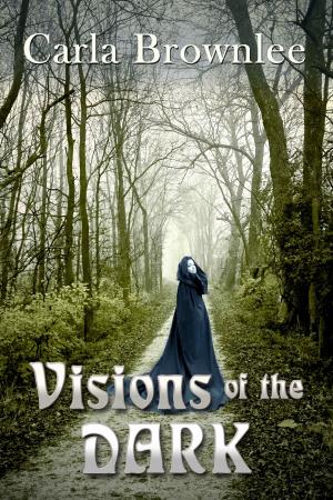 Cover of the book Visions of the Dark by Kathryn Orzech