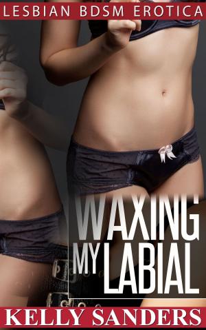 Cover of the book Waxing My Labial by Conner Hayden