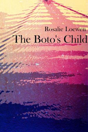 Cover of the book The Boto's Child by Peter Darbyshire