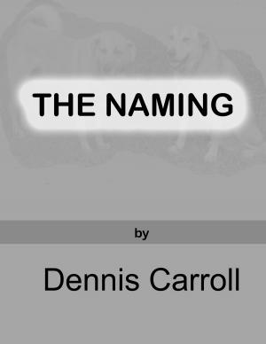 Book cover of The Naming