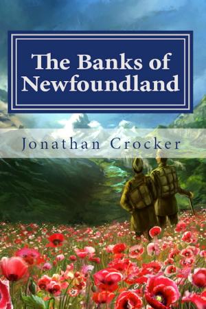 Cover of the book The Banks of Newfoundland by Cherif Fortin, Lynn Sanders