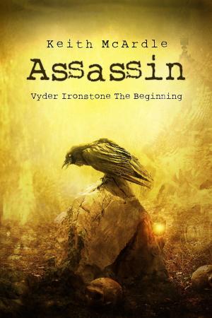 Cover of the book Assassin: The Beginning by Evelyn Lederman
