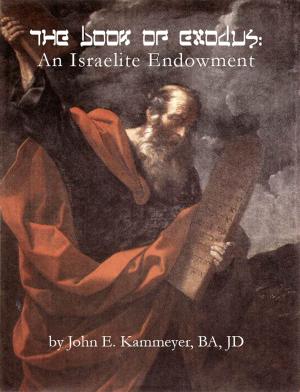 Cover of the book The Book of Exodus: An Israelite Endowment by The Word of God