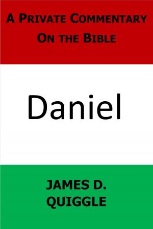 Cover of the book A Private Commentary On the Bible: Daniel by James D. Quiggle