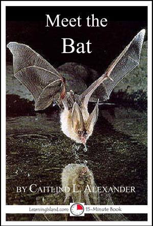 Cover of the book Meet the Bat: A 15-Minute Book for Early Readers by Jeannie Meekins