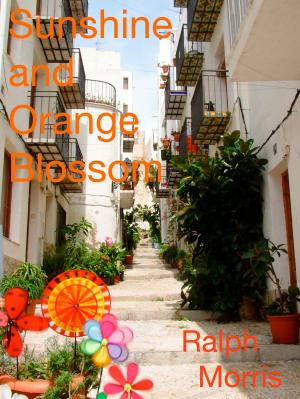 Cover of the book Sunshine and Orange Blossom by Polyglot Planet Publishing
