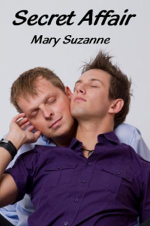 Cover of the book Secret Affair by Mary Suzanne