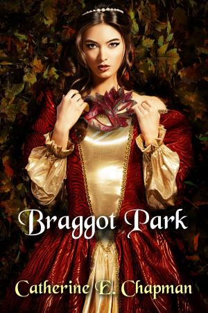Cover of the book Braggot Park by Alphonse Allais
