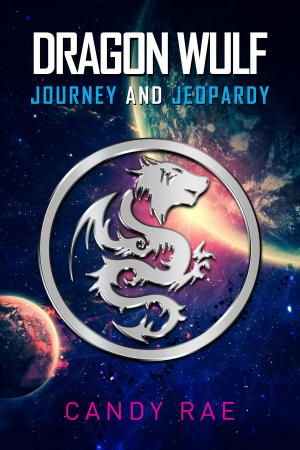 Cover of the book Journey and Jeopardy by Candy Rae