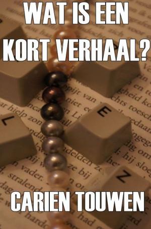 Book cover of Wat Is Een Kort Verhaal?