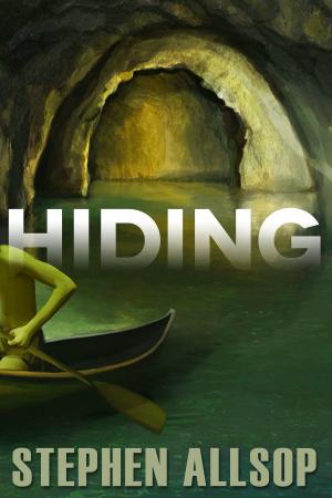 Cover of the book Hiding by J. Lovely