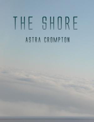 Cover of The Shore