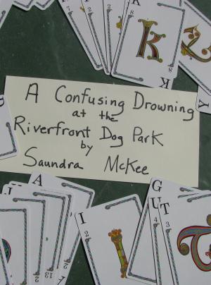 Cover of the book A Confusing Drowning at the Riverfront Dog Park by Saundra McKee
