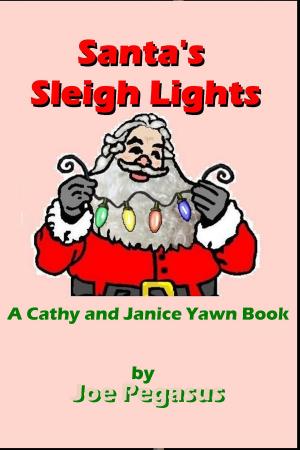 Book cover of Santa's Sleigh Lights