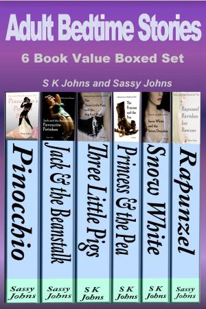 Cover of the book Adult Bedtime Stories (6 Book Value Boxed Set Bundle) by Şahin S.