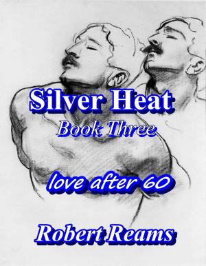 Book cover of Silver Heat, Book Three