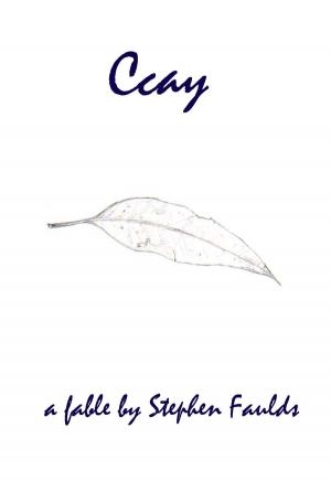 Cover of the book Ccay by Darian Land