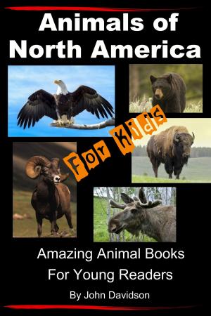 Cover of the book Animals of North America For Kids: Amazing Animal Books for Young Readers by Dueep Jyot Singh, John Davidson