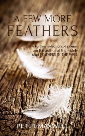 Cover of the book A Few More Feathers by Hope Sigler