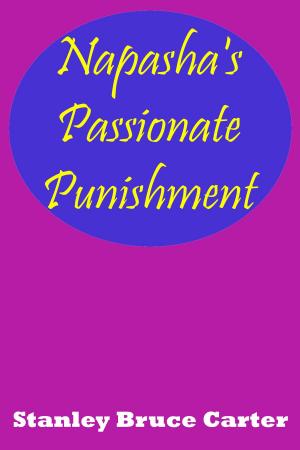 Book cover of Napasha’s Passionate Punishment