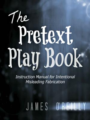 Book cover of The Pretext Playbook: Instruction Manual for Intentional Misleading Fabrication