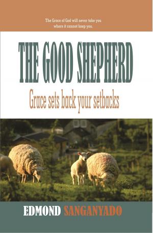 Cover of the book The Good Shepherd: Grace sets back your setbacks by Dr Douglas M. Baker