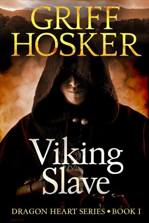 Book cover of Viking Slave