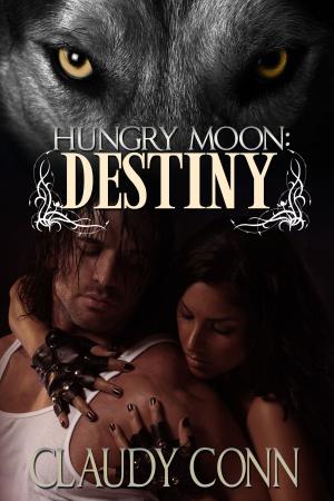 Cover of Hungry Moon-Destiny