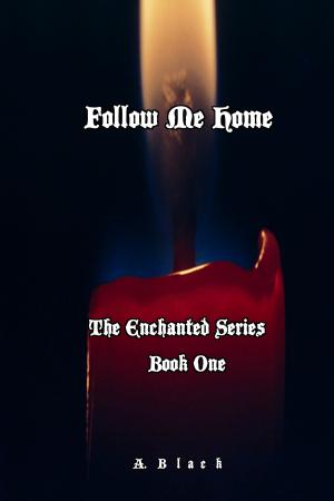 bigCover of the book Follow Me Home ( Book One: The Enchanted Series) by 