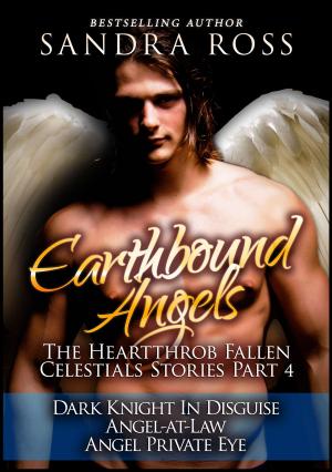 Book cover of Earthbound Angels Part 4: The Heartthrob Fallen Celestial Stories Collection