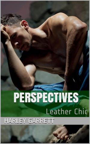 Cover of the book Perspectives by Yuri Vinokurov