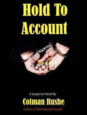 Cover of the book Hold To Account by Nadene Seiters