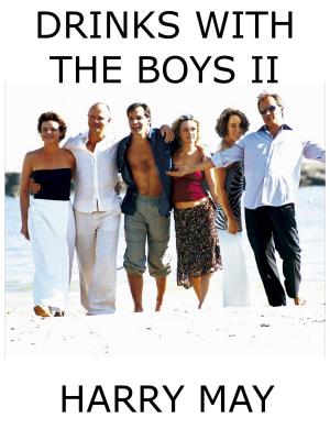 Book cover of Drinks With The Boys II