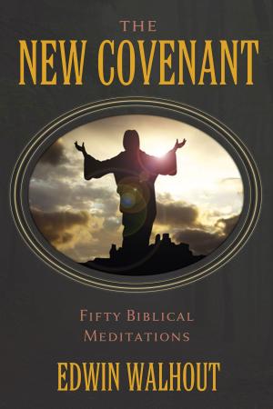 Cover of the book The New Covenant by Edwin Walhout