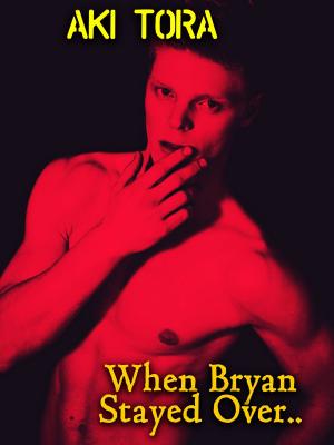 Book cover of When Bryan Stayed Over