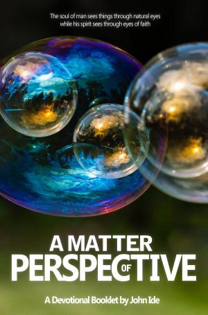 Cover of the book A Matter of Perspective by J. Bennett Collins
