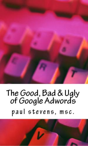 bigCover of the book The Good, Bad & Ugly of Google Adwords by 